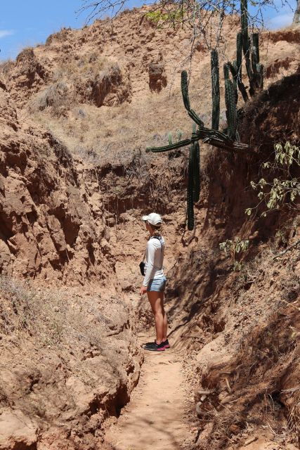 Tatacoa and Doche Desert Adventure Tour - Observatory Visit