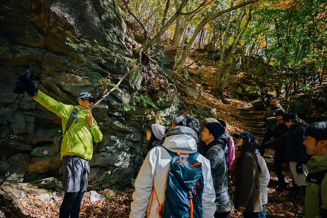 Tateshina Highland Trekking and Ride - Riding Adventures in Tateshina Highland