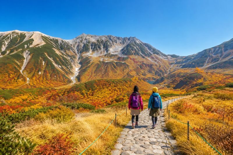 Tateyama Kurobe Alpine Route Day Tour from Nagano - The details worth knowing