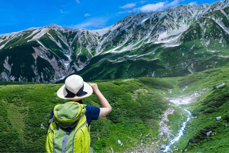 Tateyama Kurobe Alpine Route Full-Day Discovery - Is $138.75 good value?