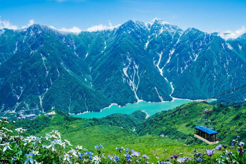 Tateyama Kurobe Alpine Route Full-Day Discovery - Should you book it?