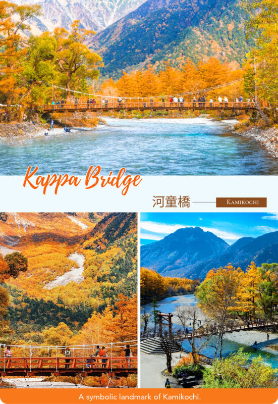 Tateyama Kurobe Autumn Foliage Two-Day Tour | Tateyama Kurobe Alpine Route & Hidden Gem Kamikochi Nature Exploration | Departing from Nagoya - What the available feedback can tell you