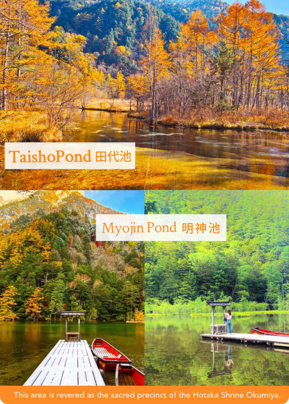 Tateyama Kurobe Autumn Foliage Two-Day Tour | Tateyama Kurobe Alpine Route & Hidden Gem Kamikochi Nature Exploration | Departing from Nagoya - Booking details to check before you go