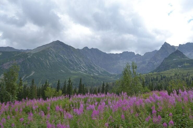 Tatras Mountains: Full-Day Hiking Tour From Krakow - Experience Highlights