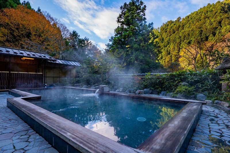 Tattoo-friendly: Kyoto Kurama Onsen Half-Day Wellness Tour with Udon - Kurama Onsen tour highlights