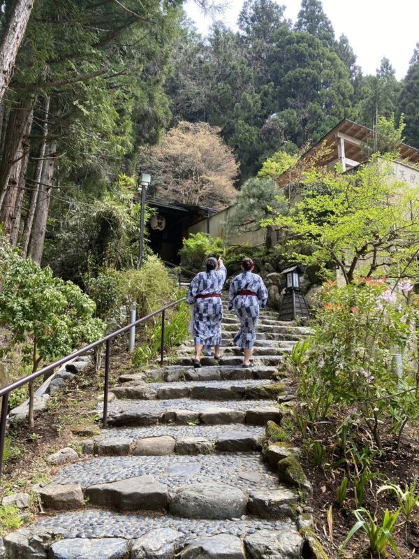 Tattoo-friendly: Kyoto Kurama Onsen Half-Day Wellness Tour with Udon - A short lesson in onsen customs and history