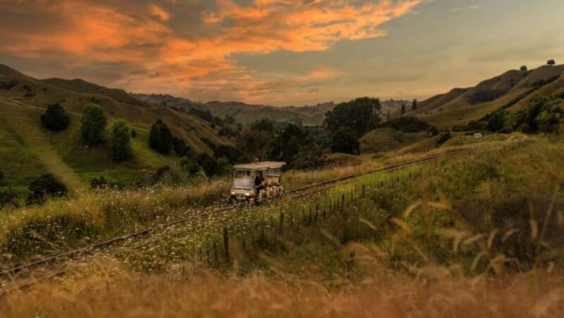 Taumarunui: Forgotten World Rail Cart Tour with Lunch - What Makes This Tour a Great Choice?