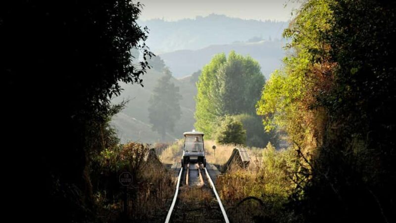 Taumarunui: Railcart and Jetboat Adventure with lunch - Good To Know
