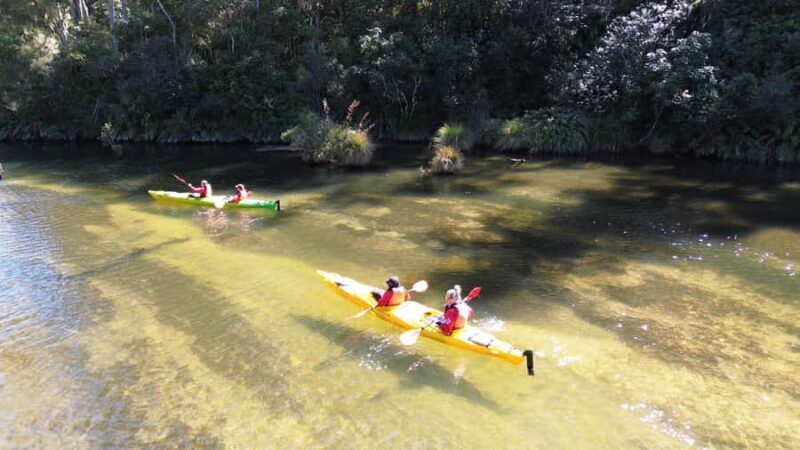 Taup: Hidden Lake Kayak Tour with Sunken Forest Views - Good To Know