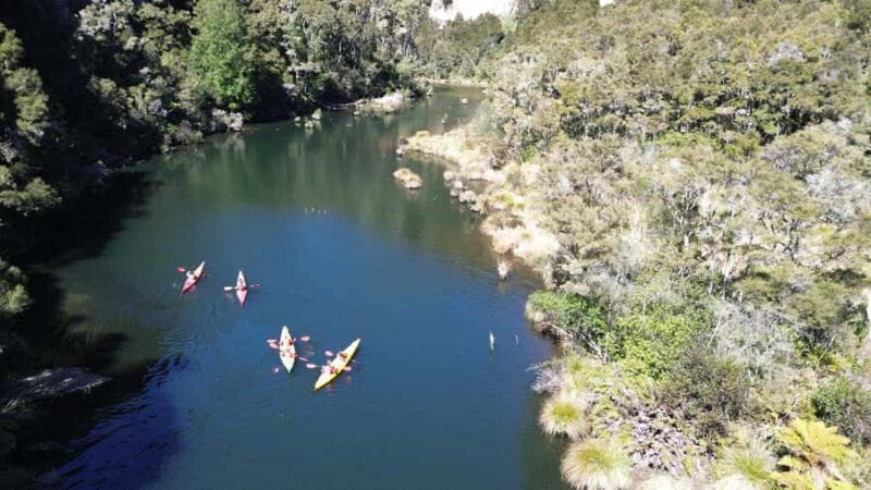 Taup: Hidden Lake Kayak Tour with Sunken Forest Views - An In-Depth Look at the Kayak Tour