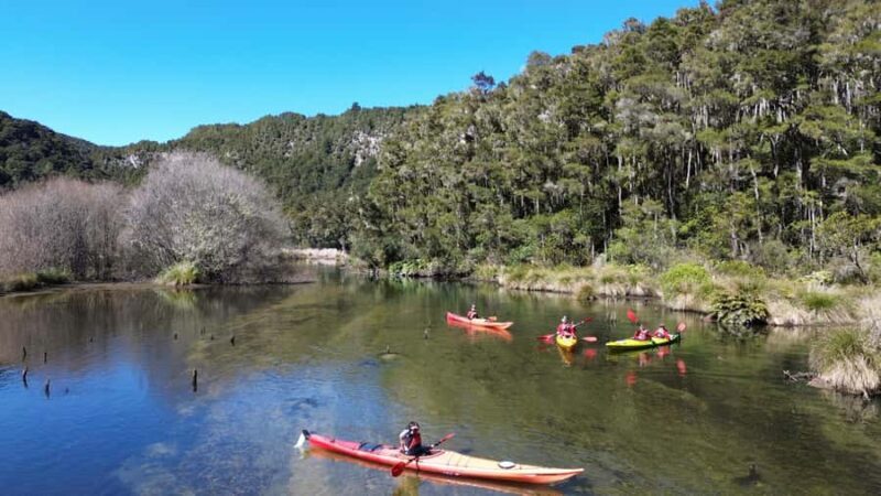 Taup: Hidden Lake Kayak Tour with Sunken Forest Views - Authentic Experience from Reviews