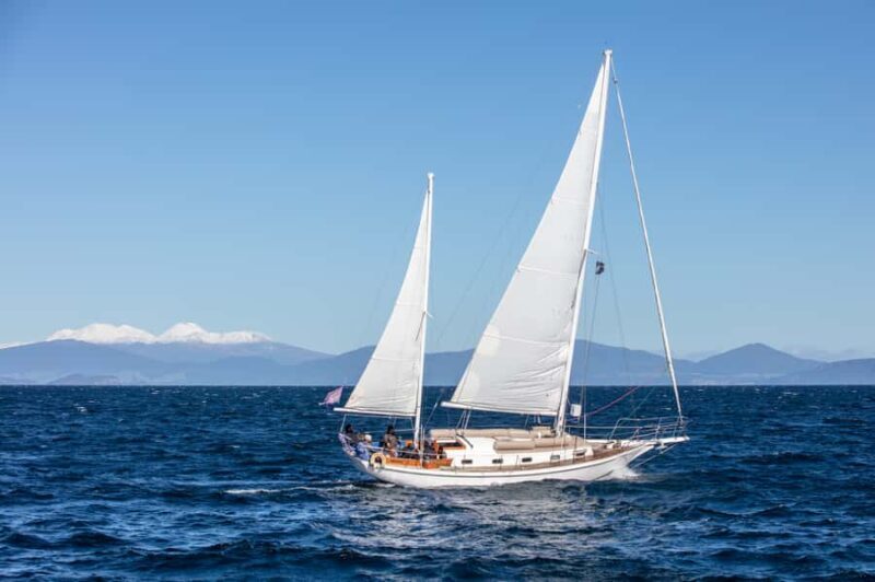 Taup: Sail Barbary Eco Sailing to the Maori Rock Carvings - An Authentic Eco Sailing Experience on Lake Taupo