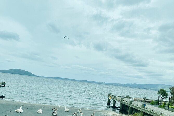 Taup to Auckland via Rotorua and Hobbiton - Summary and Who Should Consider This Tour