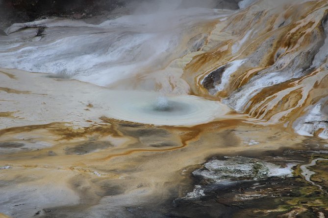 Taupo Day Trip With Orakei Korako From Rotorua - Overview