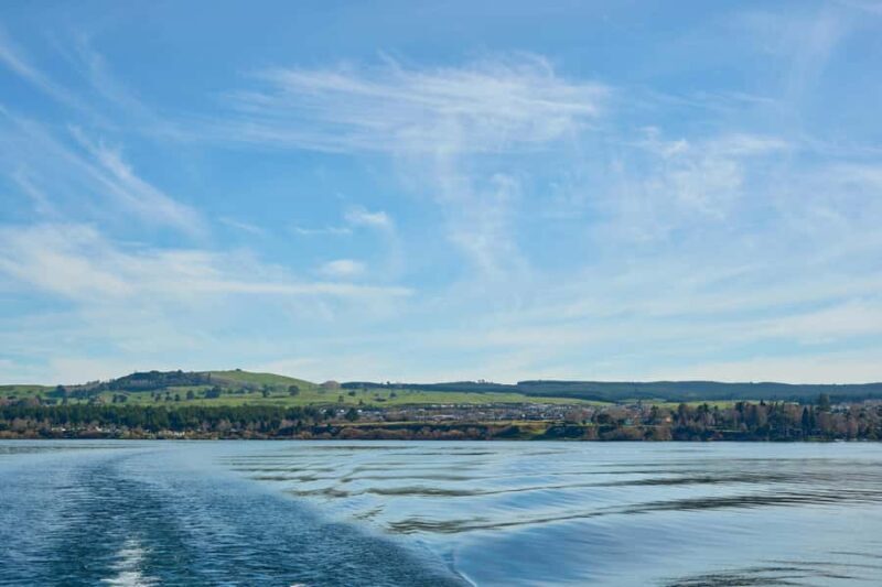 Taupo/Turangi: The Torohe Half-Day Horse Trek - Good To Know