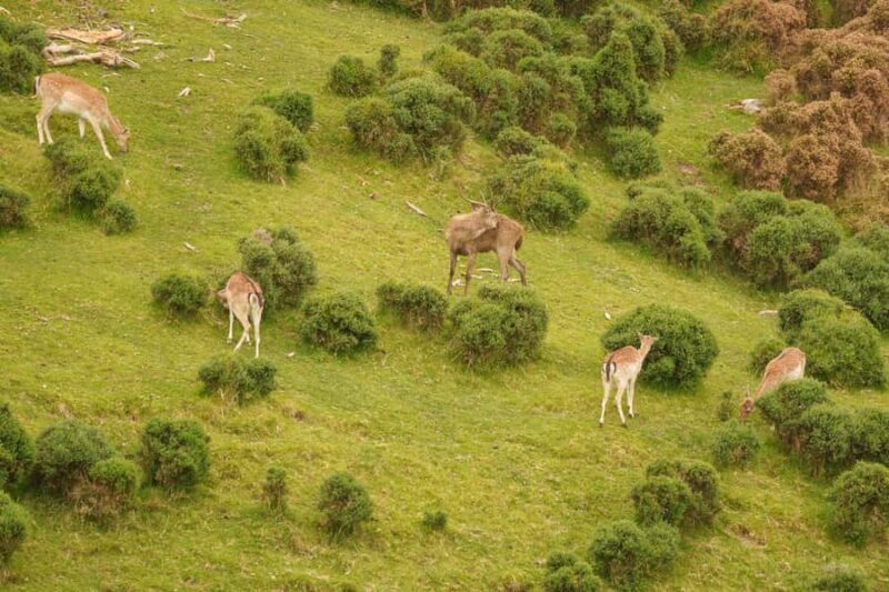 Tauranga City & Scenic Sightseeing 2-hour Tour - Considerations to Keep in Mind