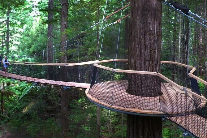 Tauranga Cruise Tour Rotorua Redwood and Maori Village Experience - Exploring the Itinerary in Detail