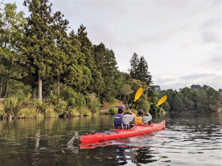 Tauranga: Evening Glow Worm Kayak Tour - Activity Details
