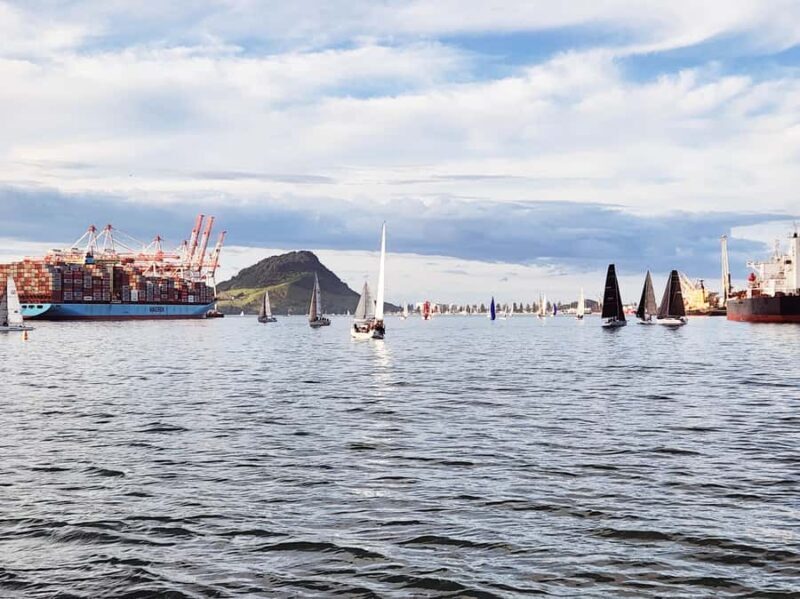 Tauranga Harbour Cruise - Discover the Beauty of Tauranga Harbour on a 3-Hour Cruise