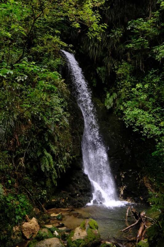 Tauranga: Kiwifruit Destination and Sights Shore Excursion - An Authentic Taste of Tauranga: What to Expect from the Tour