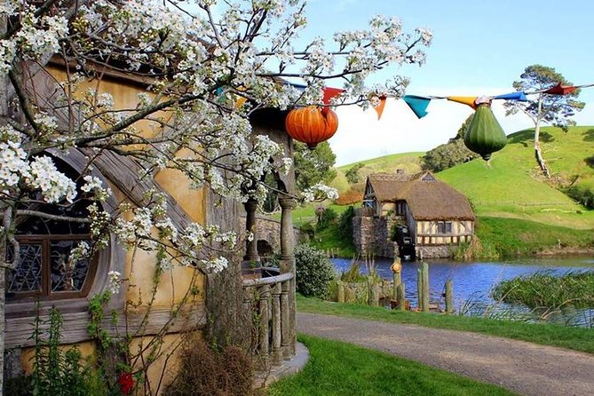 Tauranga - Magical Hobbiton Movie Set - Private Shore Excursion. - Reviews