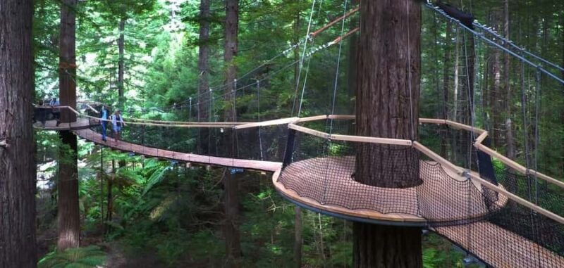 Tauranga: Rotorua Redwoods Tour & Maori Village Experience - Who Will Love This Tour?