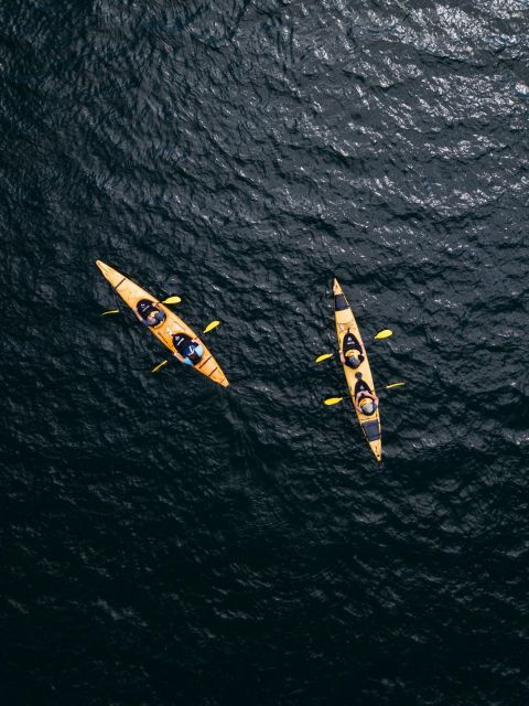 Tauranga: Scenic Lake Mclaren Kayak Tour - Tour Overview