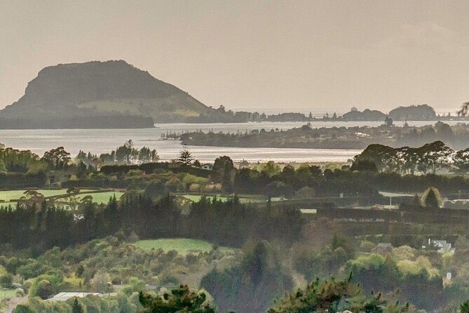 Tauranga Self-Guided Audio Tour - Location and Directions