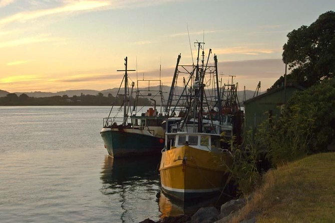 Tauranga Self-Guided Audio Tour - Additional Information
