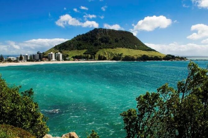 Tauranga Self-Guided Audio Tour - Lowest Price Guarantee