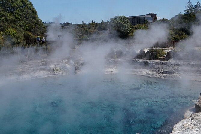 Tauranga Shore Excursion: Rotorua Highlights - What To Expect