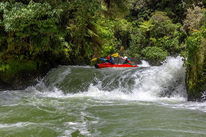Tauranga Shore Excursion: Rotorua Highlights - Highlights of the Tour