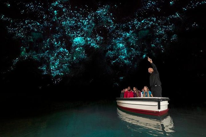 Tauranga Shore Excursion: Waitomo Caves and The Kiwi House - Tour Details and Logistics