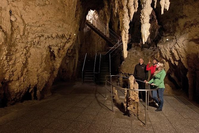 Tauranga Shore Excursion: Waitomo Caves and The Kiwi House - Common Questions
