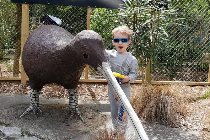 Tauranga Shore Excursion: Waitomo Caves and The Kiwi House - The Sum Up