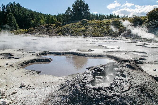 Tauranga Tour - Rotorua Hells Gate Geothermal Park & Mud Spa - Review Verification