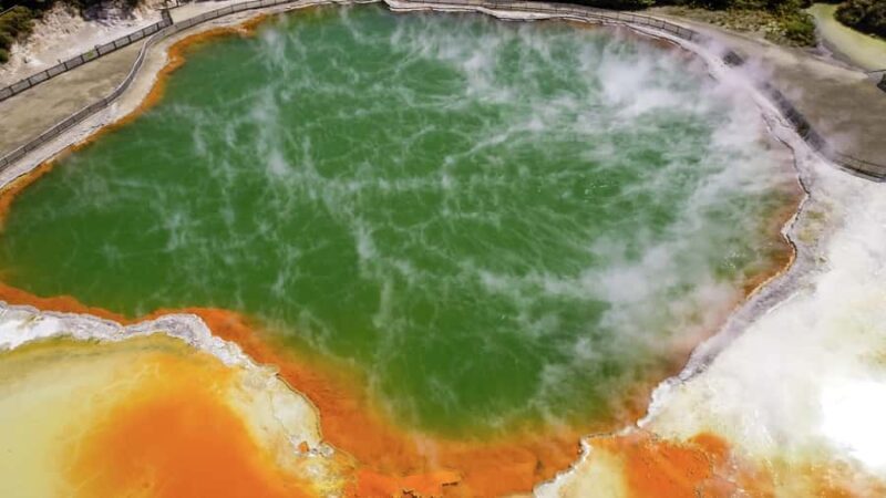 Tauranga: Wai-o-Tapu with Redwood Forest Walk or Forest Spa - Scenic Drive: Kiwis, Lakes, and Waterfalls