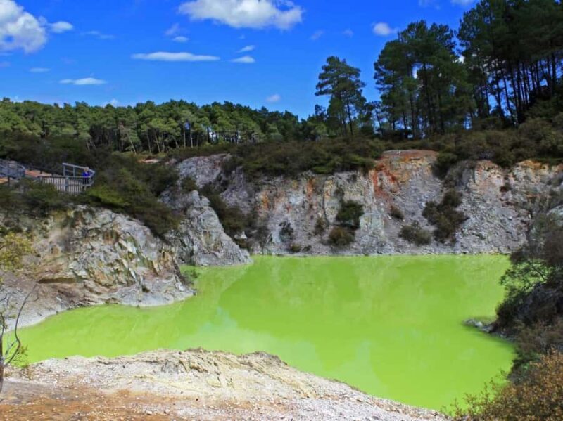 Tauranga: Wai-o-Tapu with Redwood Forest Walk or Forest Spa - Practical Details: How the Day Unfolds