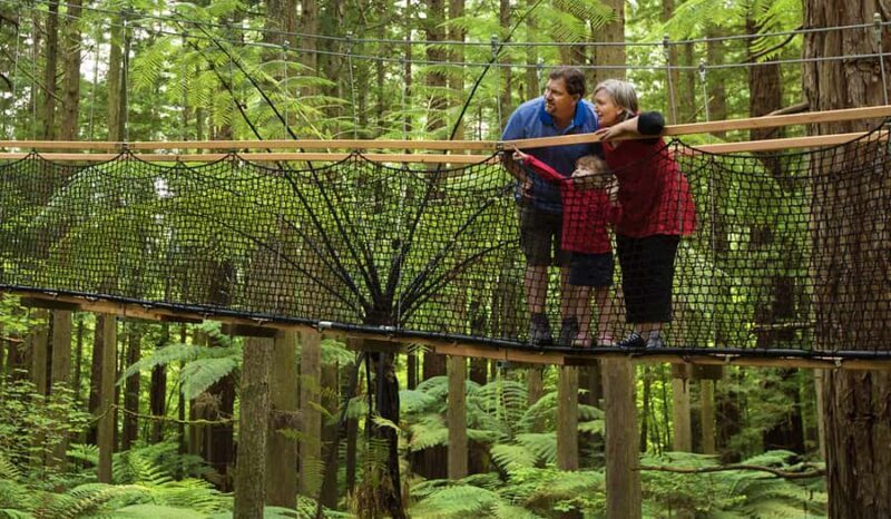 Tauranga: Wai-o-Tapu with Redwood Forest Walk or Forest Spa - FAQ