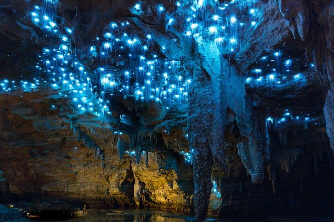 Tauranga - Waitomo "Glow-Worm Caves" Lunch at Hobbiton. - Inclusions