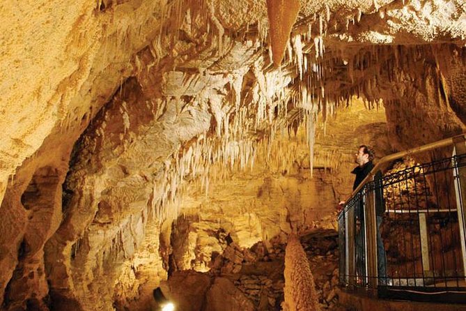 Tauranga - Waitomo "Glow-Worm Caves" Lunch at Hobbiton. - Cancellation Policy