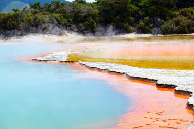 Tauranga - Wia O Tapu Wonderland & Rotorua Geysers: Private Tour - Wia O Tapu Wonderland