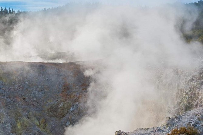 Tauranga - Wia O Tapu Wonderland & Rotorua Geysers: Private Tour - Rotorua Geysers