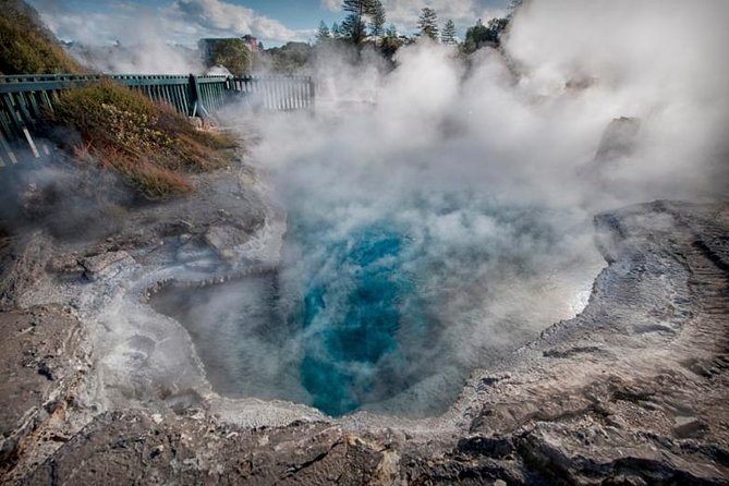 Tauranga - Wia O Tapu Wonderland & Rotorua Geysers: Private Tour - Booking and Pricing Information