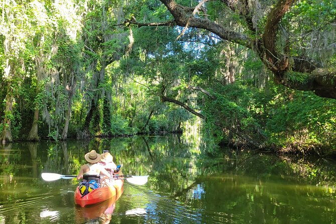 Tavares Half-Day Kayak Rental for Two on the Dora Canal - Good To Know