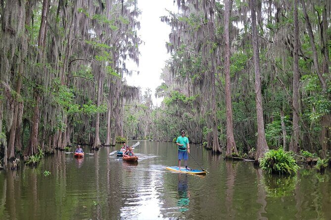 Tavares Poppy's Sweet Paddle Adventure with Ice Cream - An In-Depth Look at Poppy’s Sweet Paddle Adventure