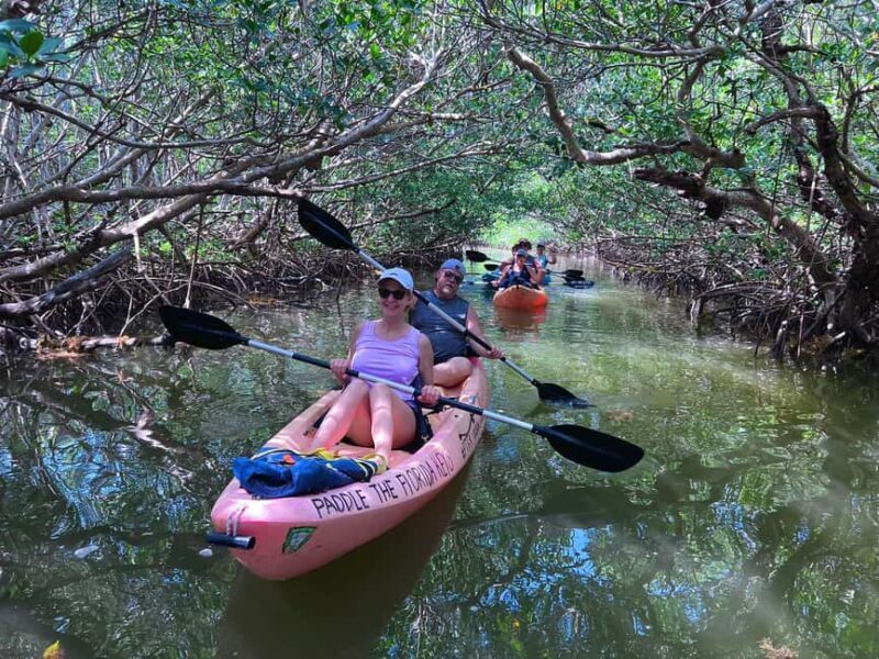 Tavernier, FL: Mangrove and Manatees Guided Kayak Eco Tour - Who Will Love This Tour?