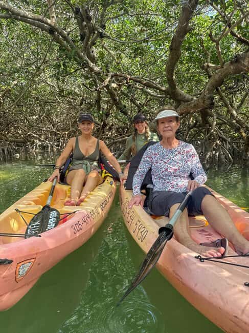 Tavernier, FL: Mangrove and Manatees Guided Kayak Eco Tour - The Sum Up