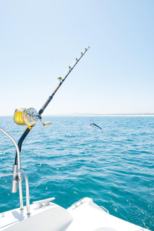 Tavira: Big Fishing Game on Catamaran - Activity Details