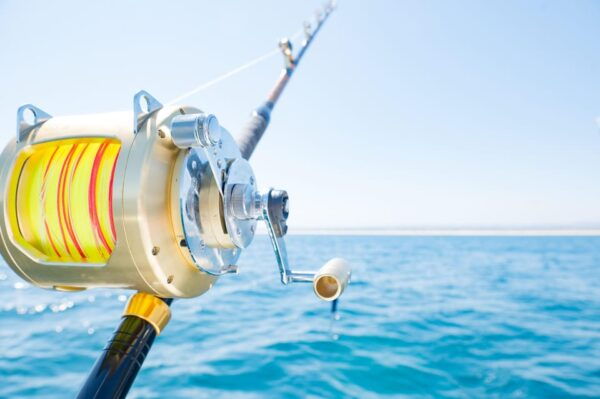 Tavira: Big Fishing Game on Catamaran - Frequently Asked Questions